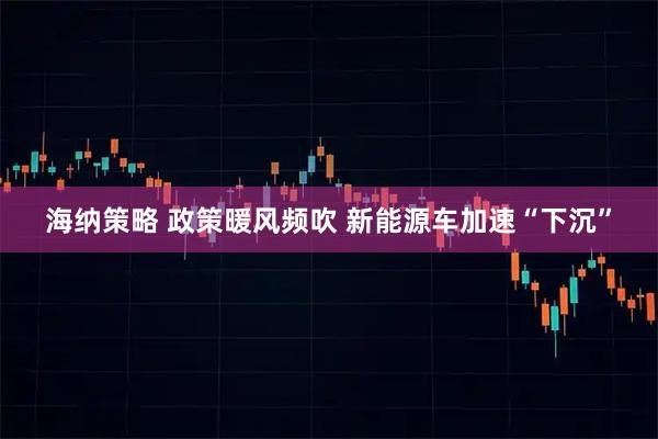 海纳策略 政策暖风频吹 新能源车加速“下沉”