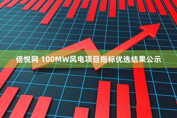 倍悦网 100MW风电项目指标优选结果公示
