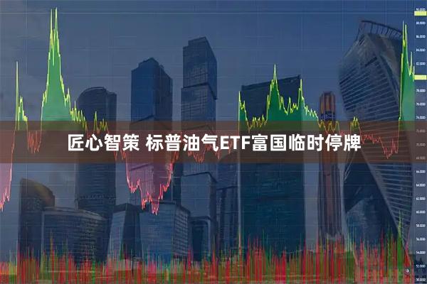 匠心智策 标普油气ETF富国临时停牌