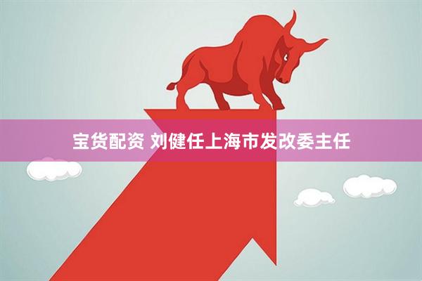 宝货配资 刘健任上海市发改委主任