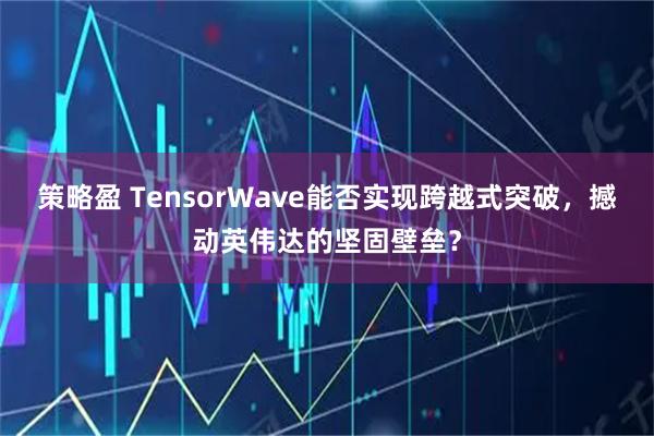 策略盈 TensorWave能否实现跨越式突破，撼动英伟达的坚固壁垒？