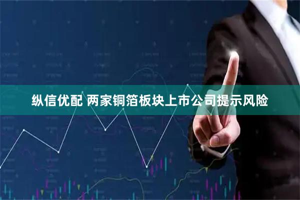 纵信优配 两家铜箔板块上市公司提示风险