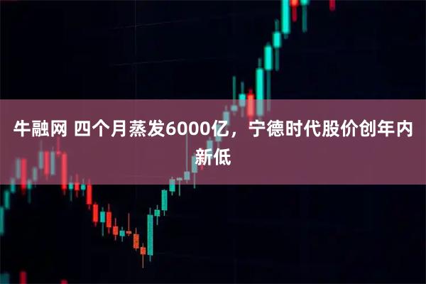 牛融网 四个月蒸发6000亿，宁德时代股价创年内新低