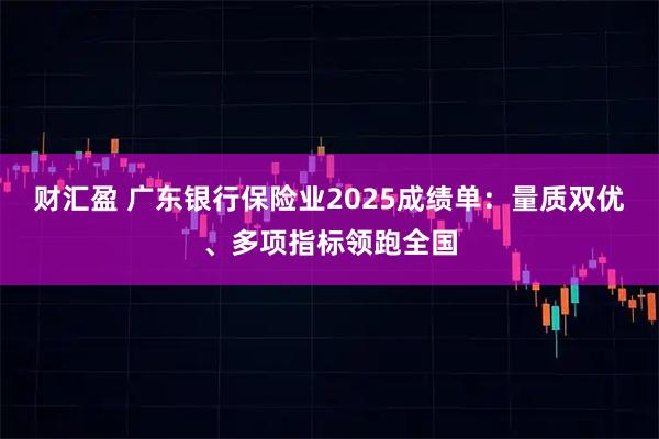 财汇盈 广东银行保险业2025成绩单：量质双优、多项指标领跑全国