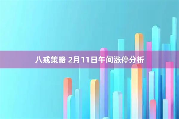 八戒策略 2月11日午间涨停分析