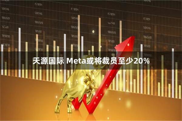 天源国际 Meta或将裁员至少20%