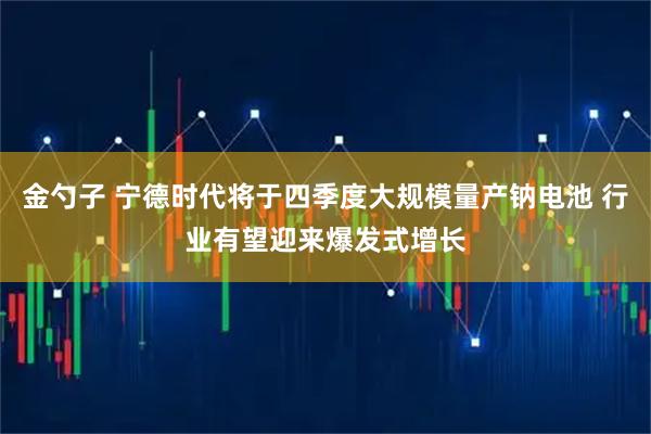 金勺子 宁德时代将于四季度大规模量产钠电池 行业有望迎来爆发式增长