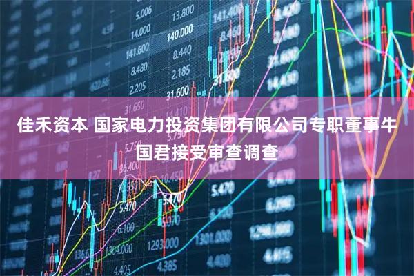 佳禾资本 国家电力投资集团有限公司专职董事牛国君接受审查调查