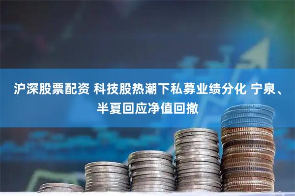 沪深股票配资 科技股热潮下私募业绩分化 宁泉、半夏回应净值回撤