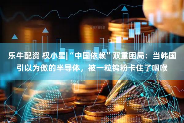乐牛配资 权小星|“中国依赖”双重困局：当韩国引以为傲的半导体，被一粒钨粉卡住了咽喉