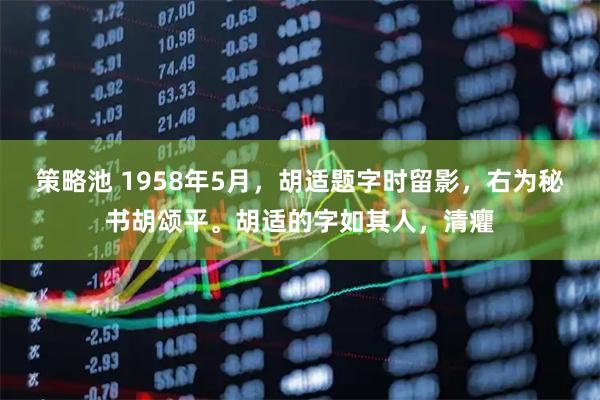 策略池 1958年5月，胡适题字时留影，右为秘书胡颂平。胡适的字如其人，清癯
