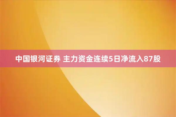 中国银河证券 主力资金连续5日净流入87股
